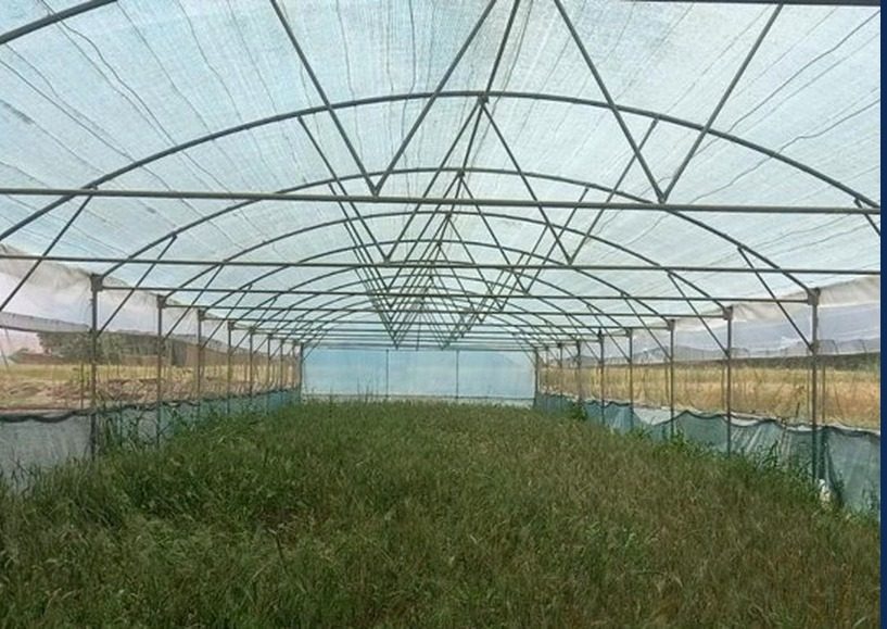 Agricultural inputs, greenhouses, and irrigation programs.